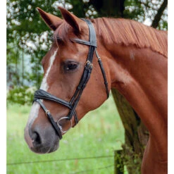 Dy'on Anatomic Flash Noseband Bridle - D Collection 15 Dy'on Anatomic Flash Noseband Bridle - D Collection -Equestrian Supplies Shop black2 94cdf53e 0b1c 4772 a0f4 9889d04b99f1