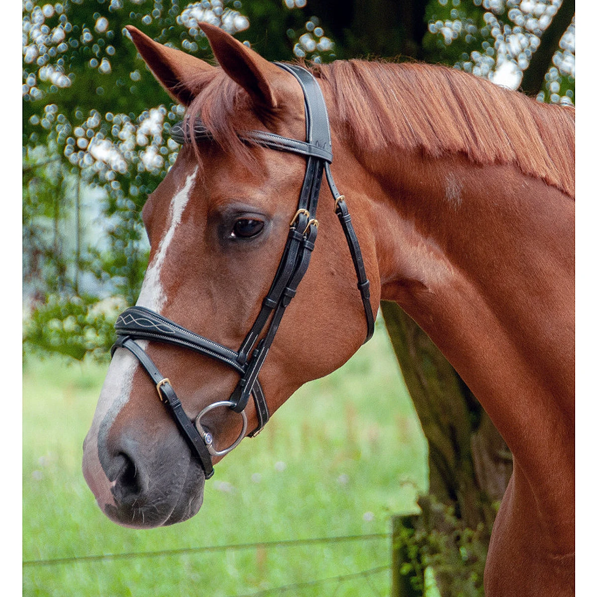 Dy'on Anatomic Flash Noseband Bridle - D Collection 9 Dy'on Anatomic Flash Noseband Bridle - D Collection - Image 7