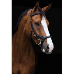 Rambo Micklem Deluxe Competition Bridle -Equestrian Supplies Shop black2 18961.1590614970.1280.1280