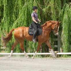 Kerrits Women's Crossover II Full Seat Breech -Equestrian Supplies Shop black3 68735.1581518814.1280.1280 ee0169b4 275f 4e97 9c76 48ce457233a0