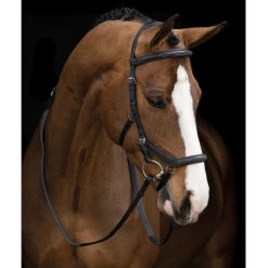 Rambo Micklem Deluxe Competition Bridle -Equestrian Supplies Shop black3 88726.1590614971.1280.1280