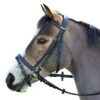 Wintec English Bridle With Flash Noseband 1 Wintec English Bridle With Flash Noseband -Equestrian Supplies Shop black3 94565.1586445749.1280.1280