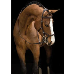 Rambo Micklem Deluxe Competition Bridle -Equestrian Supplies Shop black5 52741.1590614971.1280.1280