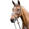 Prestige 3E080 Leather Bridle With Figure 8 Noseband -Equestrian Supplies Shop bridle