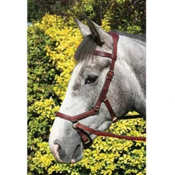 Horseware Rambo Micklem Multibridle -Equestrian Supplies Shop bridle10 cf44038a 6c56 4d81 9380 7b1cf4d1ed34