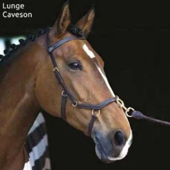 Horseware Rambo Micklem Multibridle -Equestrian Supplies Shop bridle16