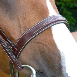Dy'on Fancy Stitch Wide Noseband Bridle -Equestrian Supplies Shop bridle2 1e4663ab 884f 4b7d 80a6 469c5399f8c7