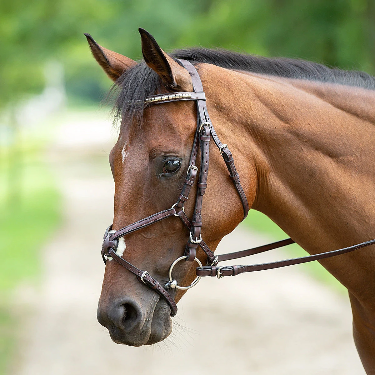 Nunn Finer Figure Eight Bridle 4 Nunn Finer Figure Eight Bridle - Image 2