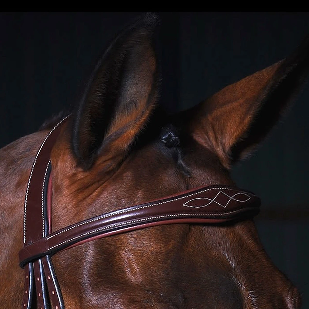 Dy'on Anatomic Flash Noseband Bridle - D Collection 5 Dy'on Anatomic Flash Noseband Bridle - D Collection - Image 3