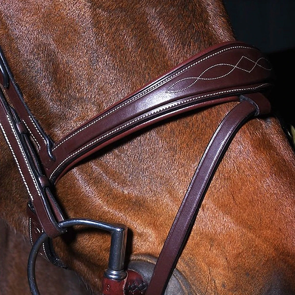 Dy'on Anatomic Flash Noseband Bridle - D Collection 6 Dy'on Anatomic Flash Noseband Bridle - D Collection - Image 4