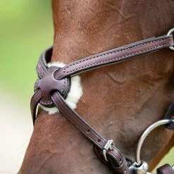 Nunn Finer Figure Eight Bridle 10 Nunn Finer Figure Eight Bridle -Equestrian Supplies Shop bridle3 46165870 fad2 409e ae3d ca7da5e4cdc6