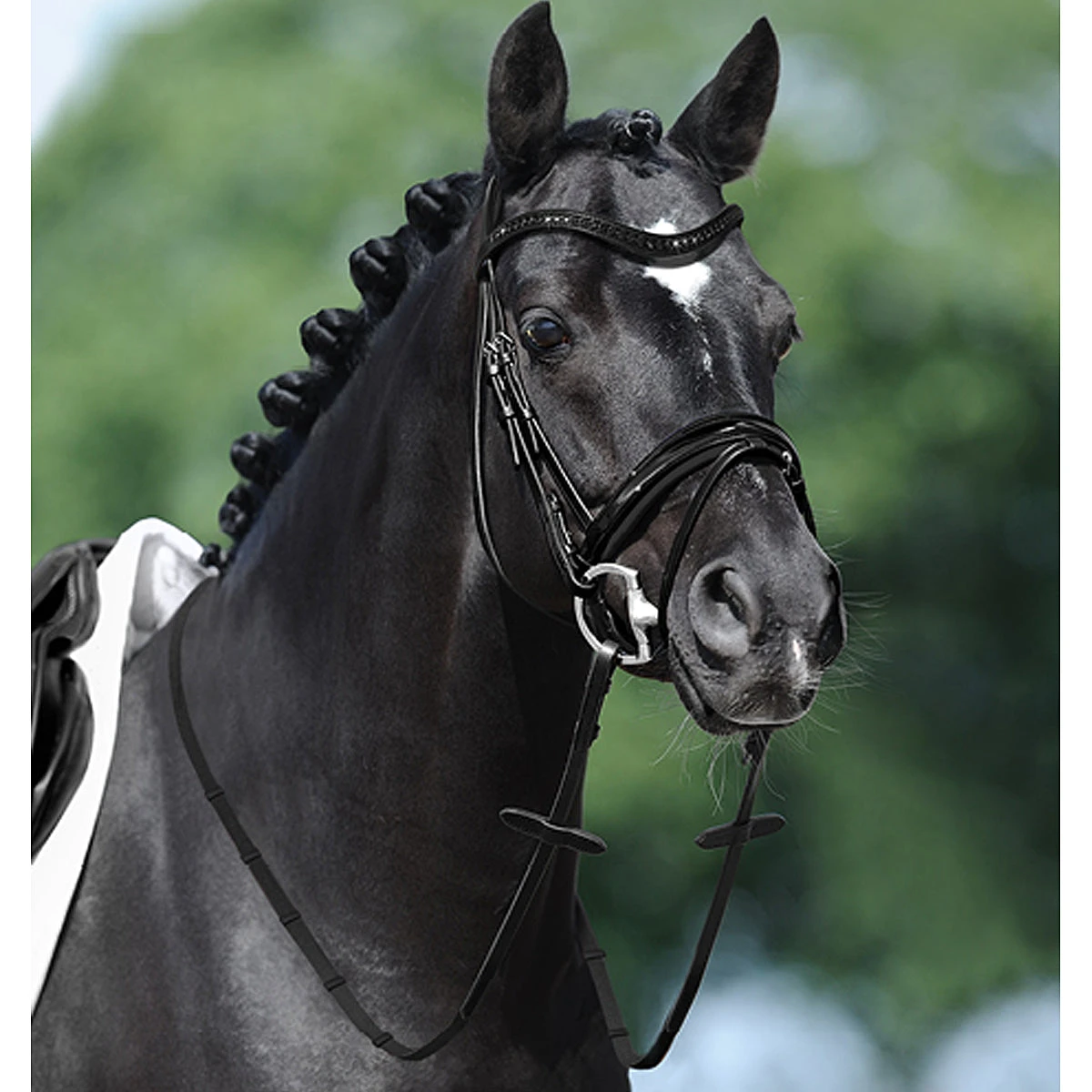 Passier Apollo Snaffle Bridle 3 Passier Apollo Snaffle Bridle