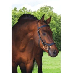 Horseware Rambo Micklem Multibridle -Equestrian Supplies Shop bridle4 b0e395ec 9a74 445f be98 f048ad5a2cb8