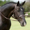 Dy'on Fancy Stitch Wide Noseband Bridle -Equestrian Supplies Shop bridle5 8a50a5b1 e847 4071 a99a 8a7f5cf16b2e