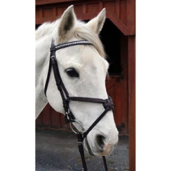 Nunn Finer Figure Eight Bridle 12 Nunn Finer Figure Eight Bridle -Equestrian Supplies Shop bridle5 9a50a3e3 345a 4af3 8fc7 ec18cd907750