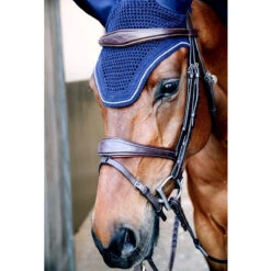 Dy'on Anatomic Flash Noseband Bridle - D Collection 14 Dy'on Anatomic Flash Noseband Bridle - D Collection -Equestrian Supplies Shop bridle5 e824d3c4 9f7f 45d8 9dcd a6c7ba518f55
