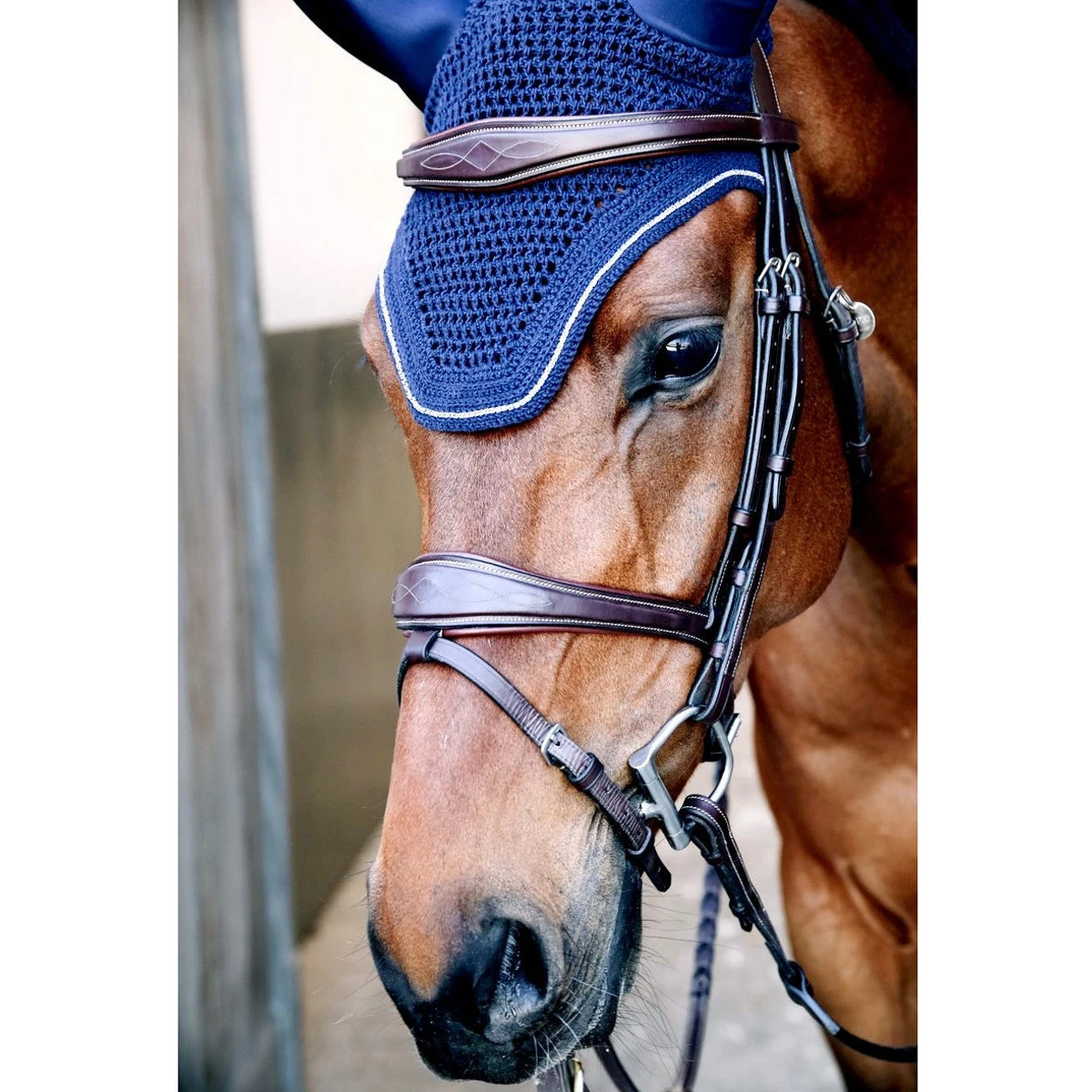 Dy'on Anatomic Flash Noseband Bridle - D Collection 8 Dy'on Anatomic Flash Noseband Bridle - D Collection - Image 6