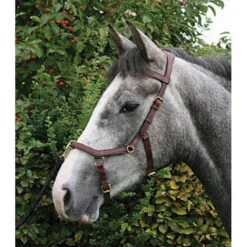Horseware Rambo Micklem Multibridle -Equestrian Supplies Shop bridle6 176ffa29 d9a4 474f 9cc0 dc82ba1c9ad6