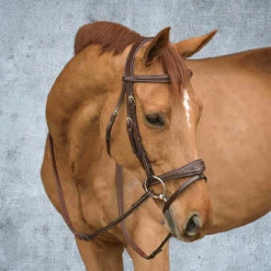 Dy'on Anatomic Flash Noseband Bridle - D Collection