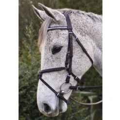 Nunn Finer Padded Figure 8 Noseband With Interchangeable Button Pieces 11 Nunn Finer Padded Figure 8 Noseband With Interchangeable Button Pieces -Equestrian Supplies Shop bridle7 93402.1588702952.1280.1280