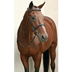 Nunn Finer Elena Hunter Bridle -Equestrian Supplies Shop bridle7 df3ecb4e b033 46d4 bb3c 3bfe7a5c5abb
