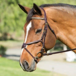 Nunn Finer Padded Figure 8 Noseband With Interchangeable Button Pieces 13 Nunn Finer Padded Figure 8 Noseband With Interchangeable Button Pieces -Equestrian Supplies Shop bridle8 91054.1588702953.1280.1280