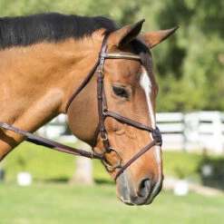 Nunn Finer Padded Figure 8 Noseband With Interchangeable Button Pieces 12 Nunn Finer Padded Figure 8 Noseband With Interchangeable Button Pieces -Equestrian Supplies Shop bridle9 40869.1588702952.1280.1280