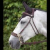Dyon Hackamore Bridle -Equestrian Supplies Shop bridle 0f6fd6db 7a4e 4f09 a701 04281ee797bf