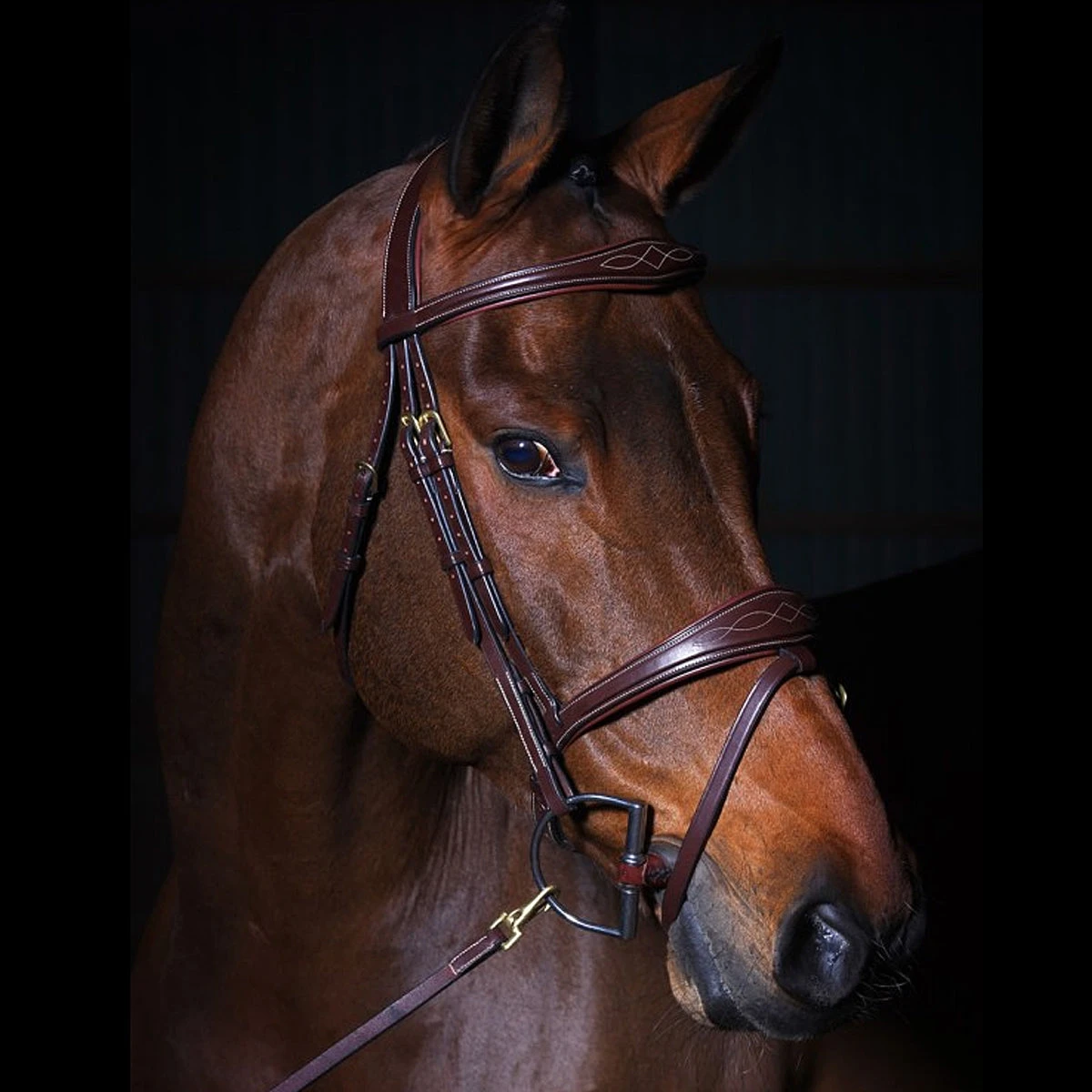 Dy'on Anatomic Flash Noseband Bridle - D Collection 4 Dy'on Anatomic Flash Noseband Bridle - D Collection - Image 2
