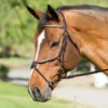 Nunn Finer Figure Eight Bridle 2 Nunn Finer Figure Eight Bridle -Equestrian Supplies Shop bridle 83a8692f e0bc 4982 84e9 62202da61996