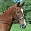 Black Oak By KL Select Foxtrot Hunt Bridle -Equestrian Supplies Shop bridle 80361.1584460594.1280.1280