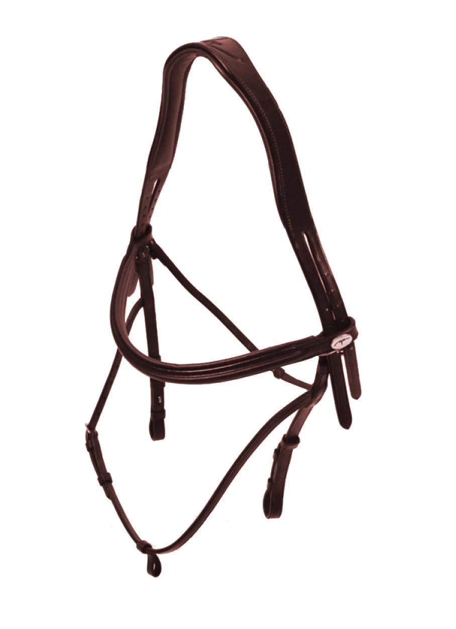Dyon Hackamore Bridle 5 Dyon Hackamore Bridle - Image 3