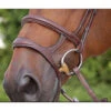 Dyon Double Noseband - D Collection 2 Dyon Double Noseband - D Collection -Equestrian Supplies Shop dyon doublenoseband
