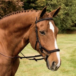 Rambo Micklem Deluxe Competition Bridle -Equestrian Supplies Shop havana 17224.1590614971.1280.1280