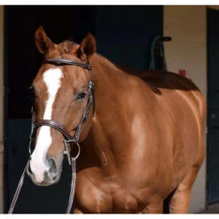 Huntley Equestrian Sedgwick Leather Fancy Stitched Bridle -Equestrian Supplies Shop huntley eq sedgwick aust nut5 95416.1588357252.1280.1280