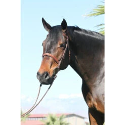 Huntley Equestrian Sedgwick Leather Fancy Stitched Bridle -Equestrian Supplies Shop huntley eq sedgwick conker 02308.1589920650.1280.1280