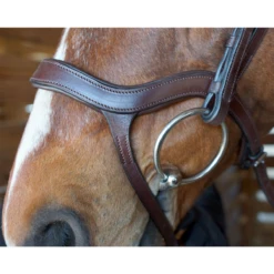 Nunn Finer Innovativo Shaped Bridle -Equestrian Supplies Shop innovatio3