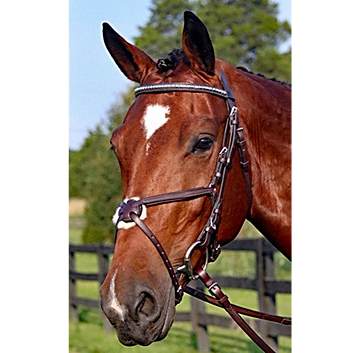 Nunn Finer Figure Eight Bridle 8 Nunn Finer Figure Eight Bridle - Image 6