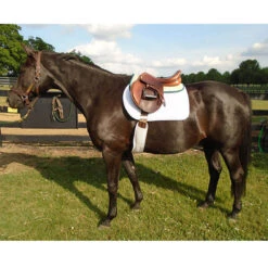 Wilker's Suede Half Pad -Equestrian Supplies Shop pad2 cd579a44 d8f9 4723 9bc0 676479e6ad27