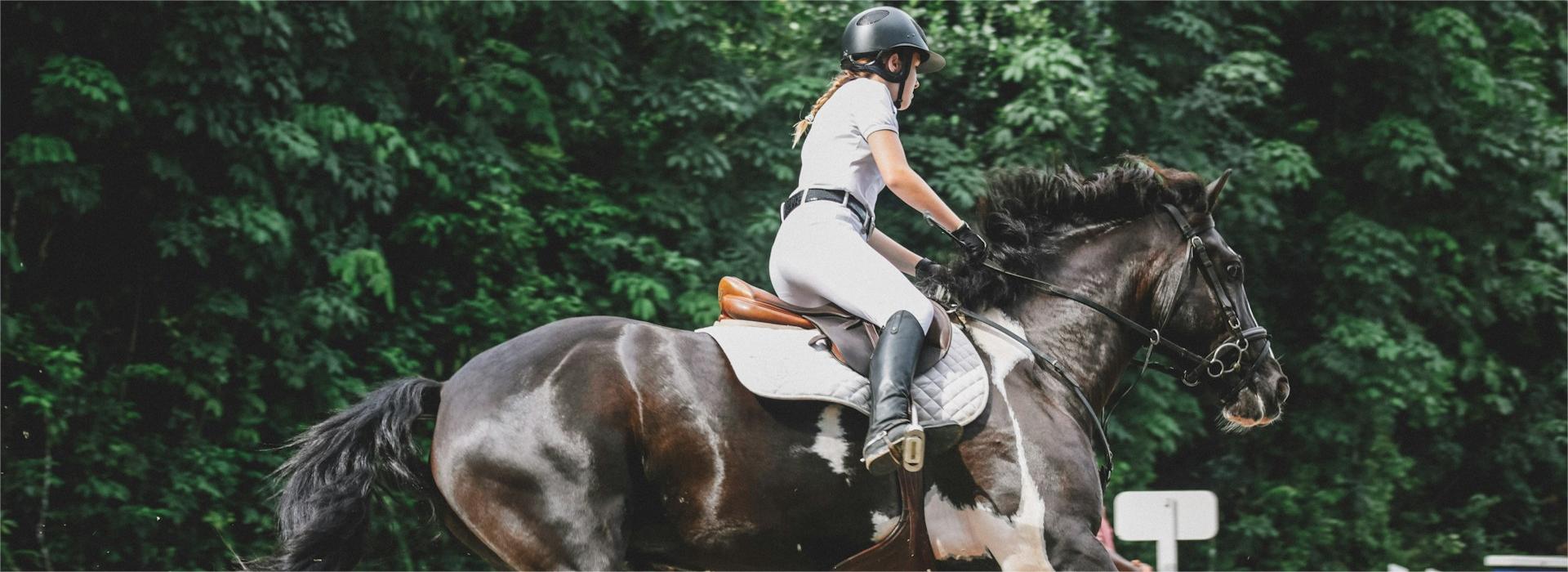 Equestrian Supplies Shop -Equestrian Supplies Shop lily banse vLrlxsNKE3Y unsplash