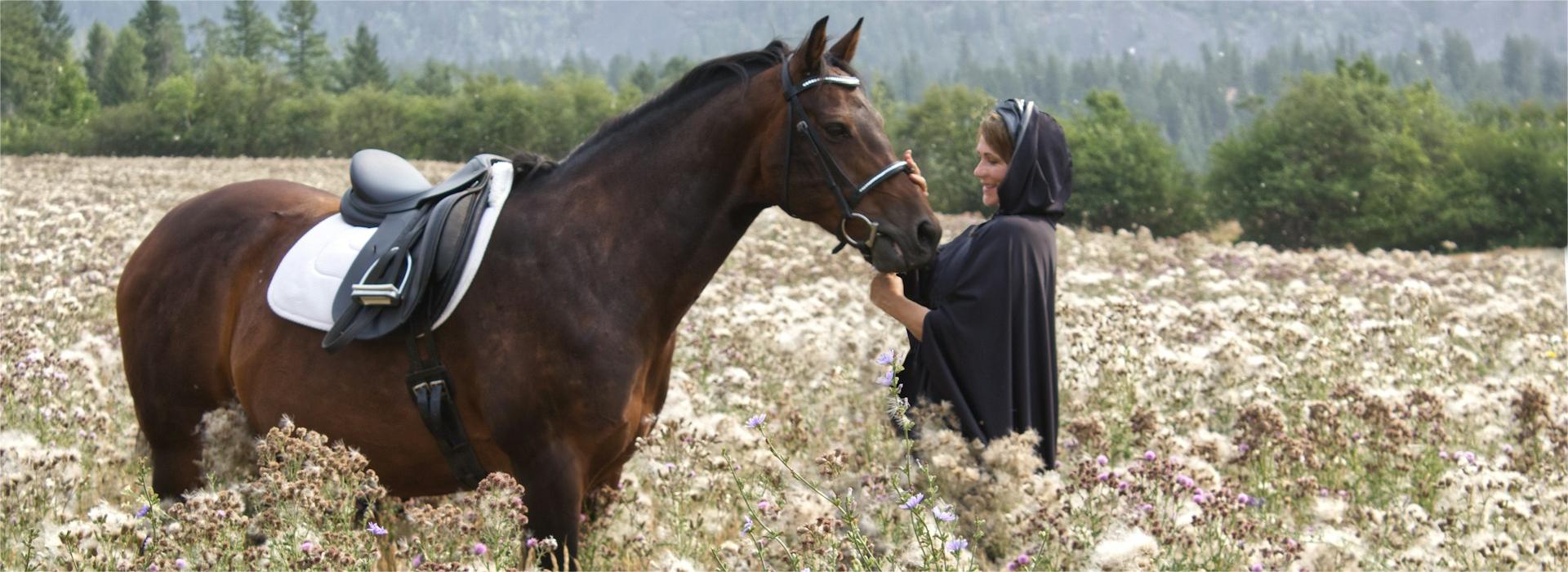 Equestrian Supplies Shop -Equestrian Supplies Shop sheila swayze II oruiIJWQ unsplash